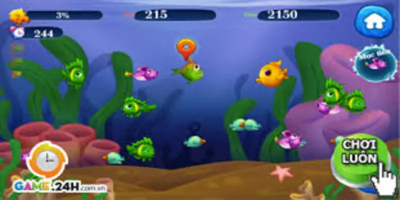 Bí kíp chơi cá lớn ăn cá bé luôn thắng 