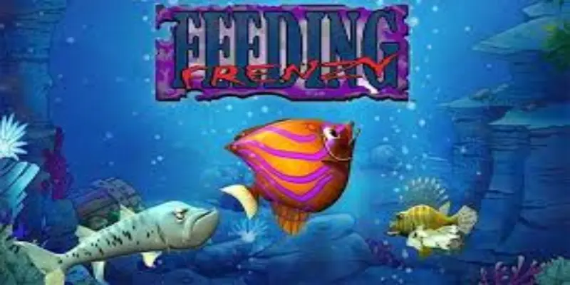 Cá lớn ăn cá bé là gì? 